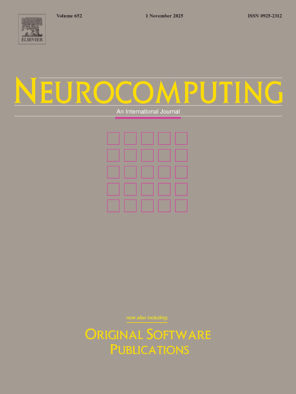 Publication_2025_Neurocomputing